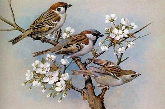 Haussperlinge Diamond Painting - Diamond Painting