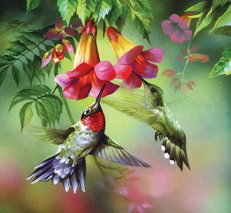 Kolibris die Blumennektar trinken - Diamond Painting