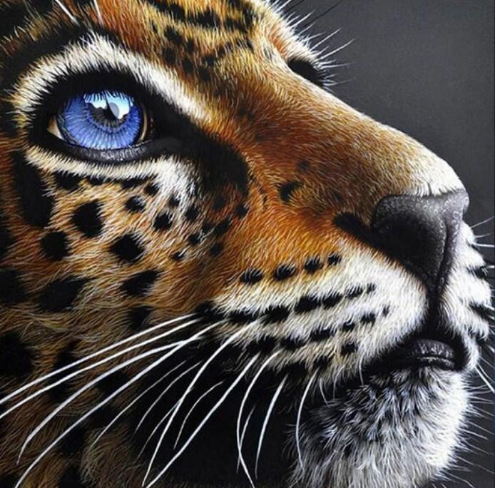 Jaguarjunges mit blauen Augen - Diamond Painting