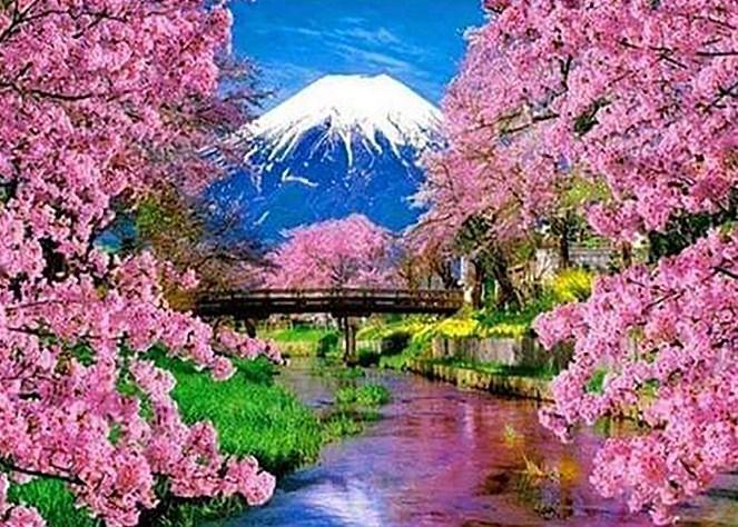 Japanische Kirschblüten Frühling - Diamond Painting