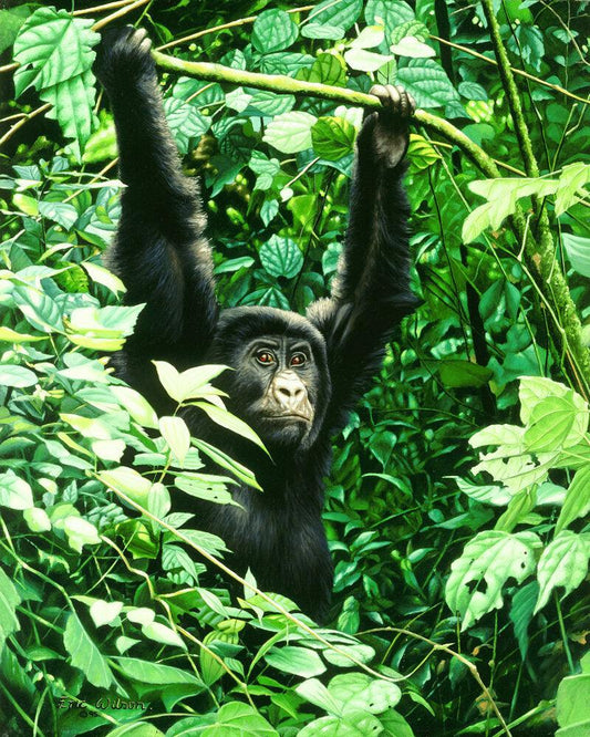 Junger Gorilla - Kunst des Eric Wilson - Diamond Painting