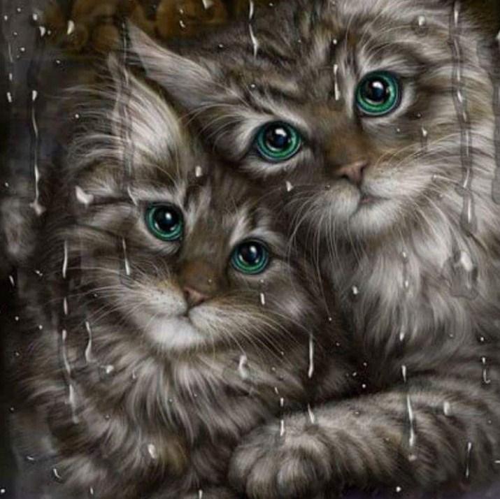 Schöne Katzen mit grünen Augen - Diamond Painting
