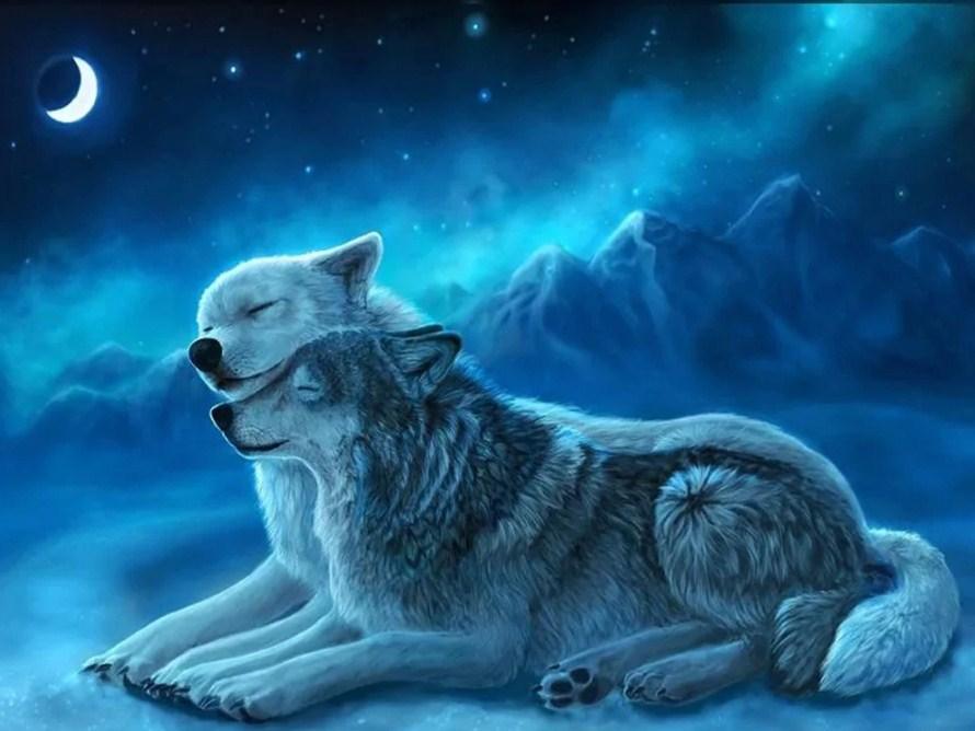 Liebevolles Wolfspaar in friedlicher Nacht - Diamond Painting