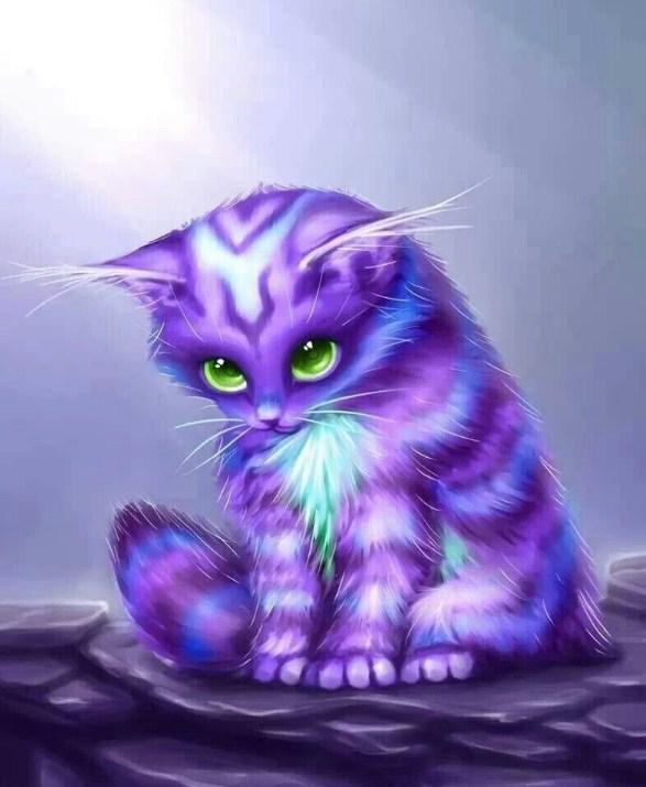 Magische Katze - Diamond Painting Kit - Diamond Painting