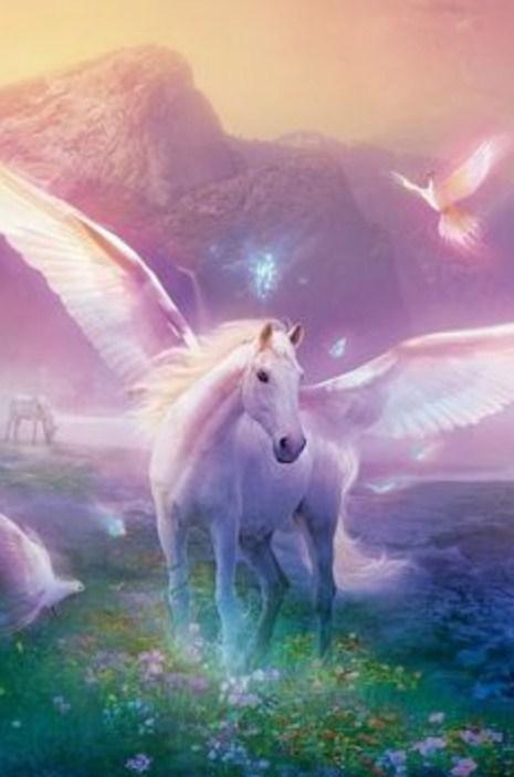 Pegasus mythologisches Einhorn - Farbe mit Diamanten - Diamond Painting