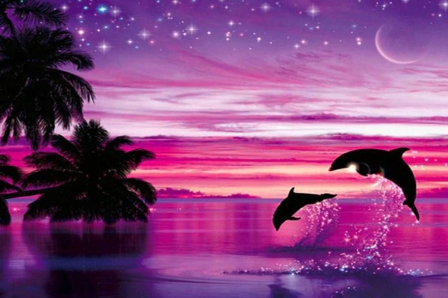 rosa Himmel Ansicht und Delfin paar - Diamond Painting