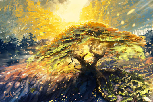 Punkt-Lobos-Zypresse - Kunst des Jean Guillet - Diamond Painting