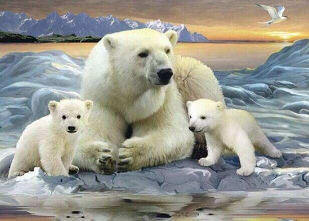 Eisbärenfamilie - Diamond Painting