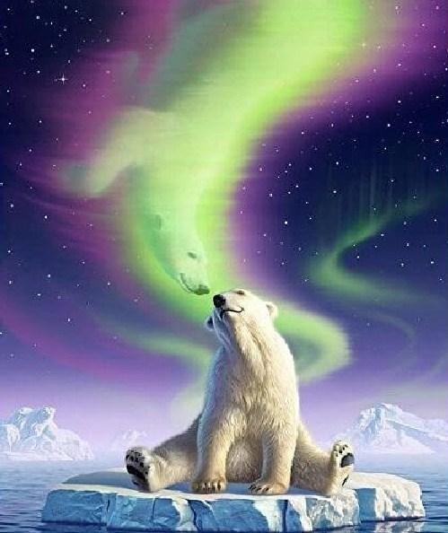 Polarbär Nordlichter Fantasie - Diamond Painting