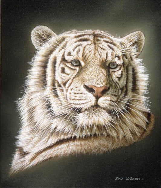 Porträt eines weißen tigers -  Kunst des Eric Wilson - Diamond Painting