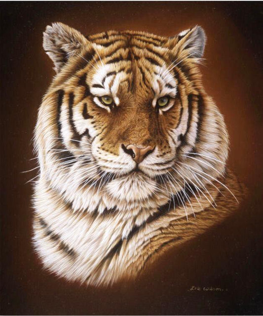 Porträt eines königlichen bengalischen tiger - Kunst des Eric Wilson - Diamond Painting