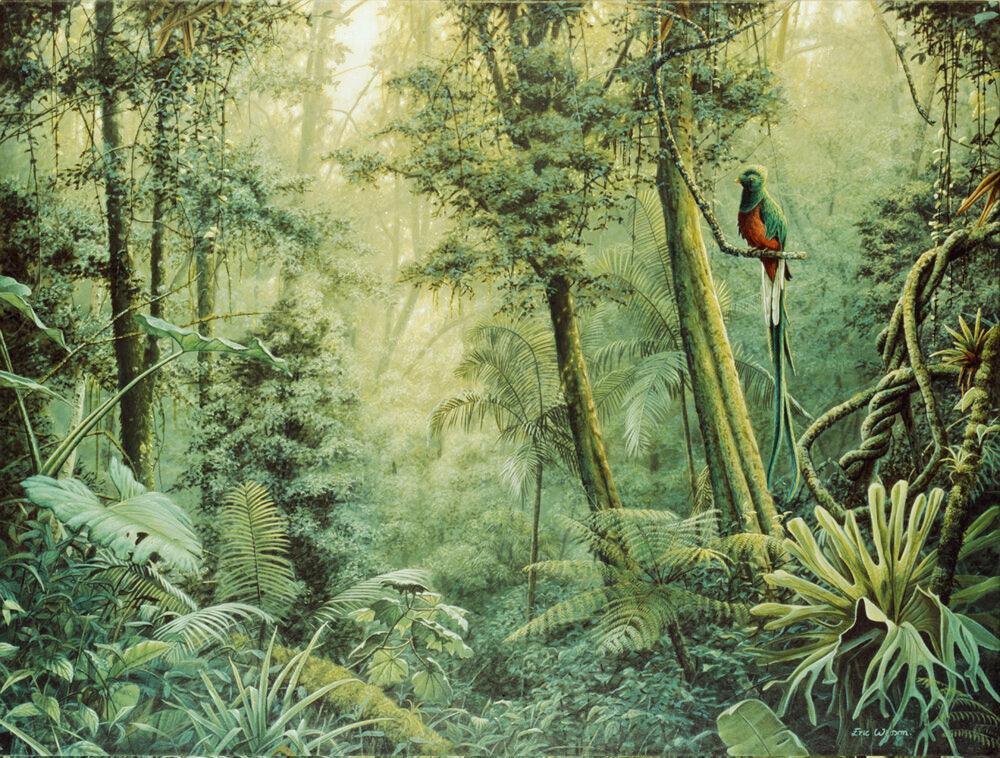 Quetzal -  Kunst des Eric Wilson - Diamond Painting