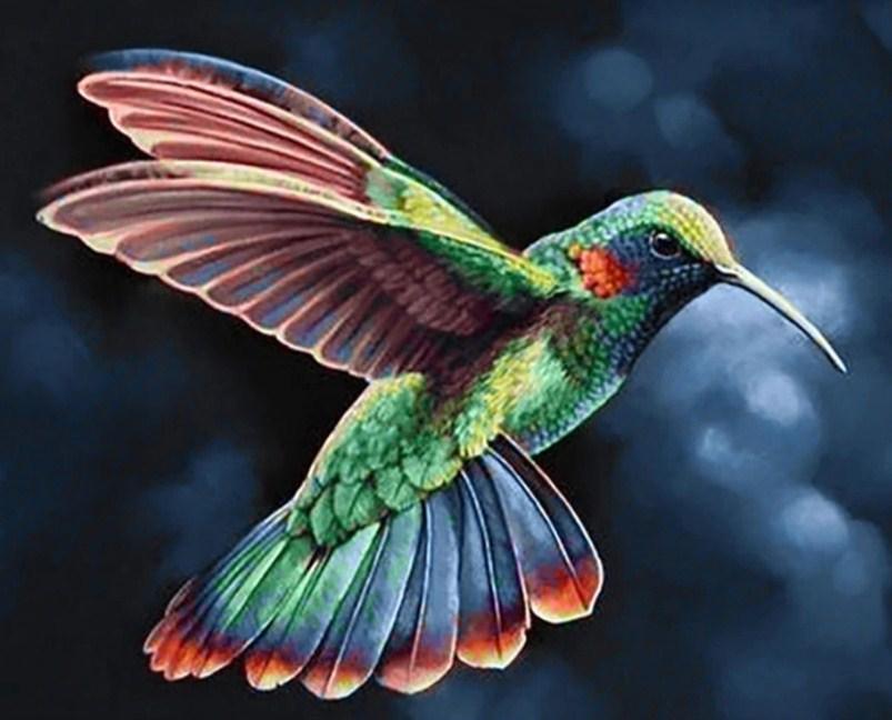 Regenbogen Kolibri - Diamond Painting