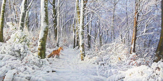 Rotfuchs und Rotkehlchen - Kunst des Eric Wilson - Diamond Painting