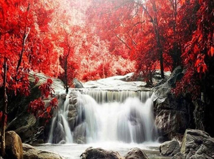 Rote Bäume und Wasserfall Diamond Painting - Diamond Painting