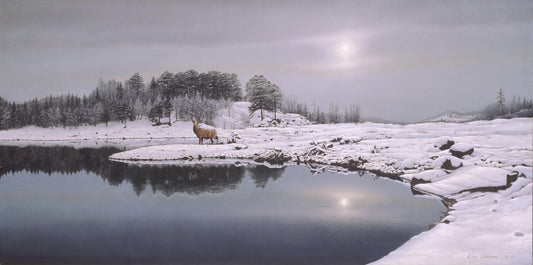 Reflexionen des Winters - Kunst des Eric Wilson - Diamond Painting