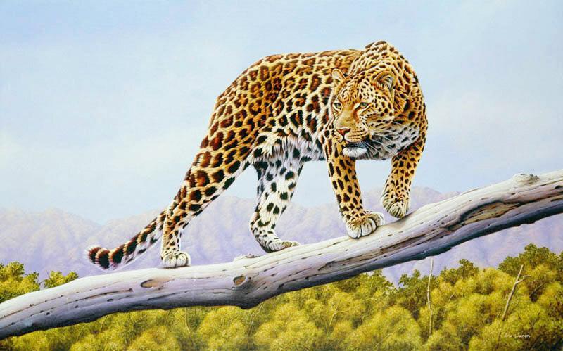 Ruckomechi Leopard -  Kunst des Eric Wilson - Diamond Painting