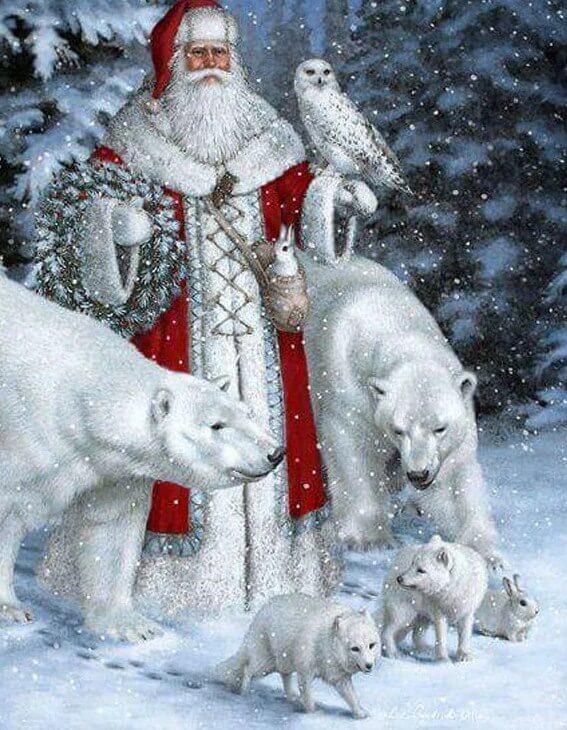 Weihnachtsmann mit Tieren & Eule - Diamond Painting