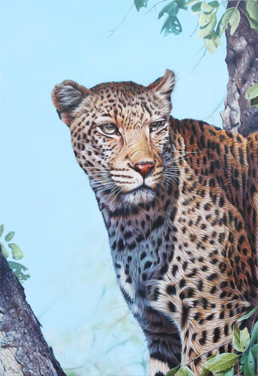 Südafrikanischer Leopard -  Kunst des Eric Wilson - Diamond Painting