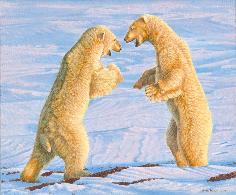 sparring-eisbären - Kunst des Eric Wilson - Diamond Painting