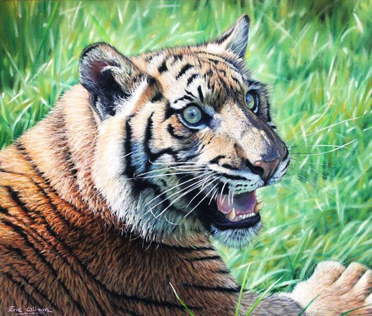 Sumatra-Tigerjunges -  Kunst des Eric Wilson - Diamond Painting