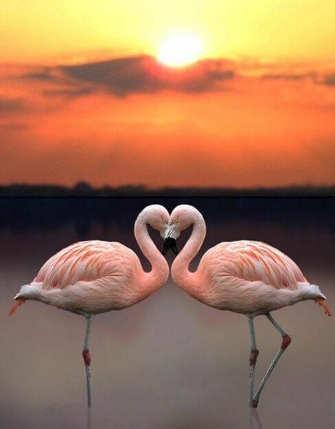 Flamingos & Sonnenuntergangslandschaft - Diamond Painting