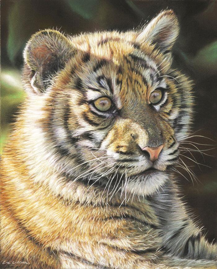 Tigerjunges -  Kunst des Eric Wilson - Diamond Painting