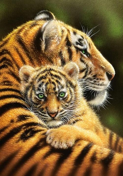 Tiger & Junges Umarmen - Diamond Painting