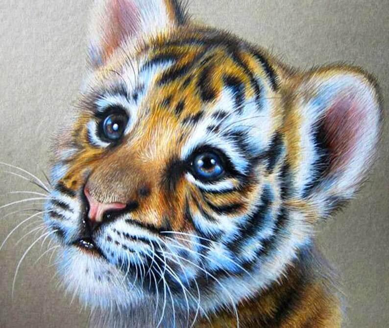 Tigerjunges malerei kit - Diamond Painting