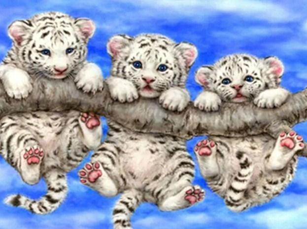 Tigerbabys hängen am Baum - Diamond Painting