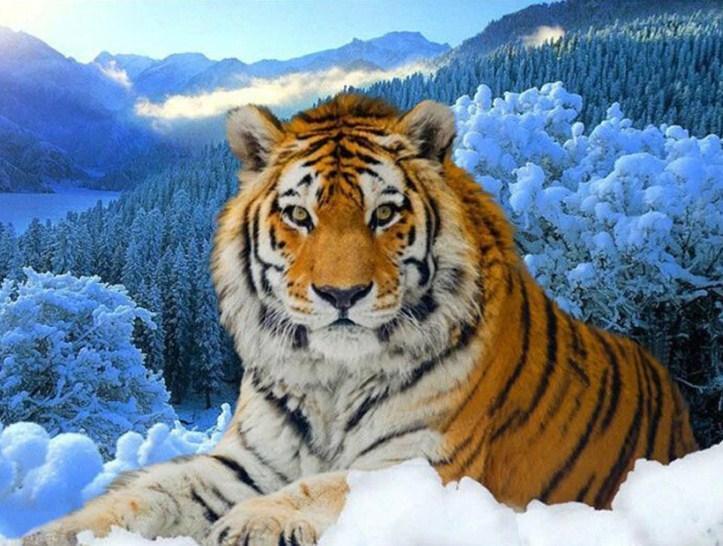 Tiger im Schnee Malerei-Kit - Diamond Painting