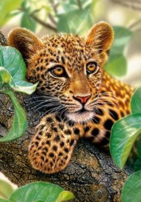 Baum Hugger Leopard Jungtier - Diamond Painting