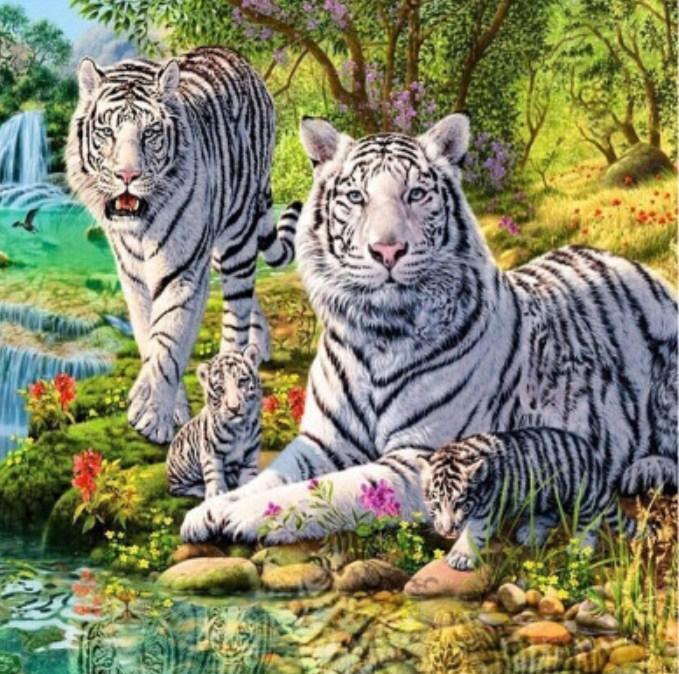Weiße Tiger und  Jungen - Diamond Painting