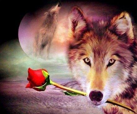 Wolf mit roter Rose - Diamond Painting