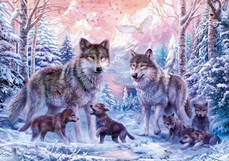 Wolfsfamilie im Schnee - Diamond Painting