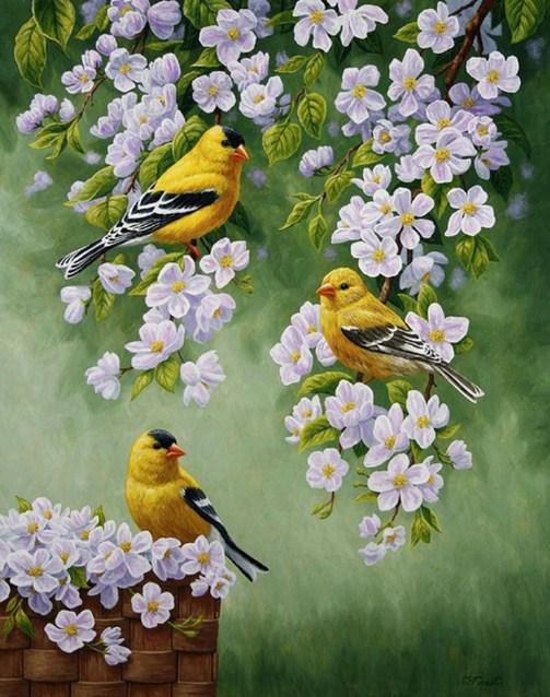 Gelbe Vögel & weiße Blumen - Diamond Painting