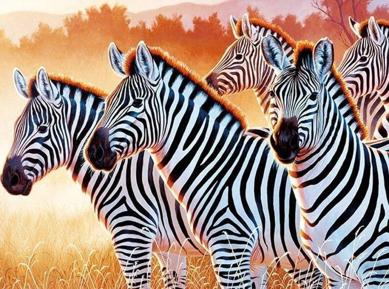 Zebras DIY Diamond Painting Kit - Diamond Painting