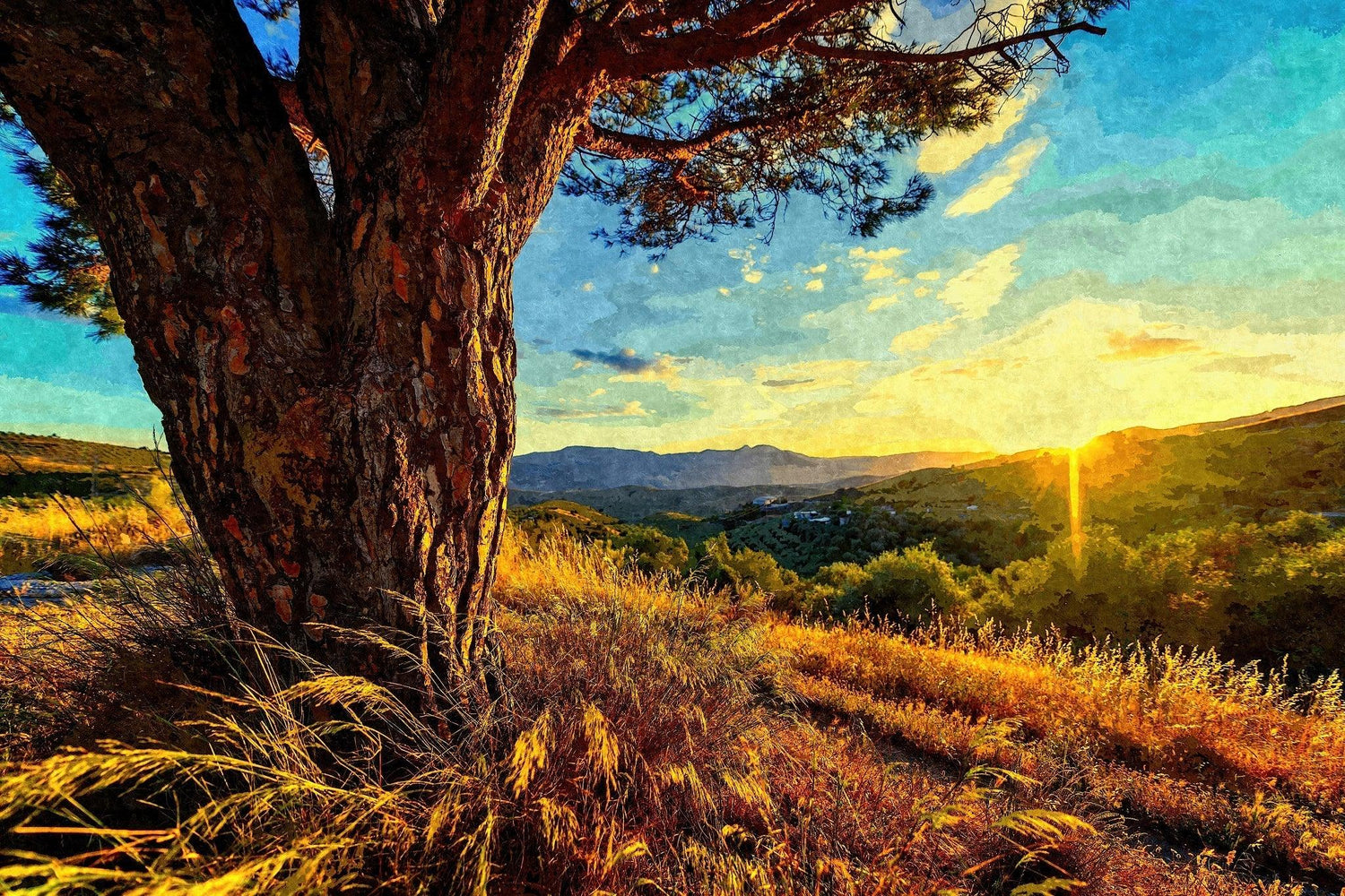 Knorriger Baum bei Sonnenuntergang - Kunst des Denise Dundon - Diamond Painting