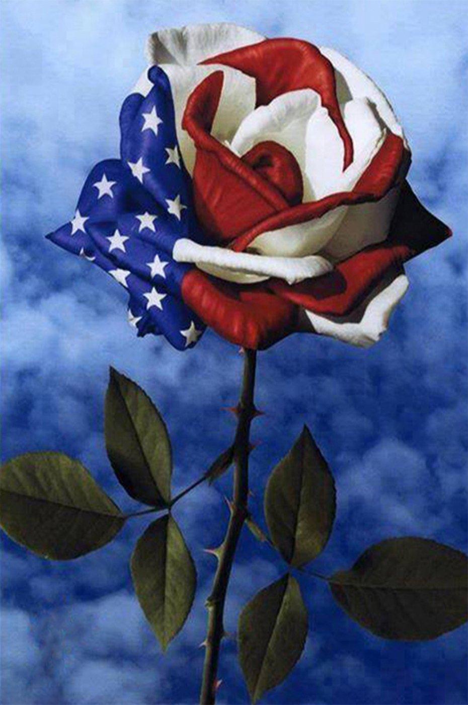 Amerikanische Flagge auf Blume DIY Diamantmalerei - Diamond Painting