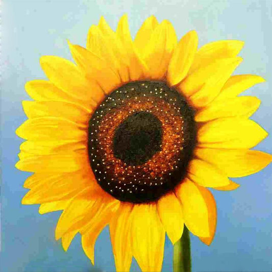 Gelbe Sonnenblume Diamond Painting - Diamond Painting
