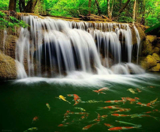 Wasserfall & Fisch DIY Diamond Painting - Diamond Painting