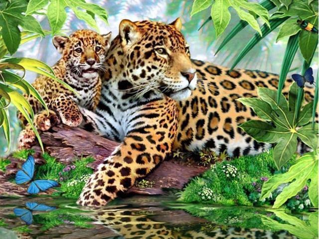 Leoparden-Sammlung DIY Diamond Paintings - Diamond Painting